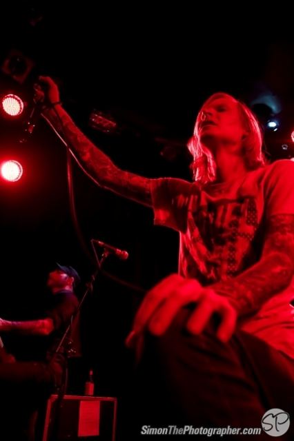 Evergreen Terrace live