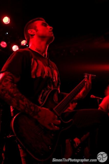 Evergreen Terrace live