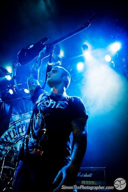 Evergreen Terrace live
