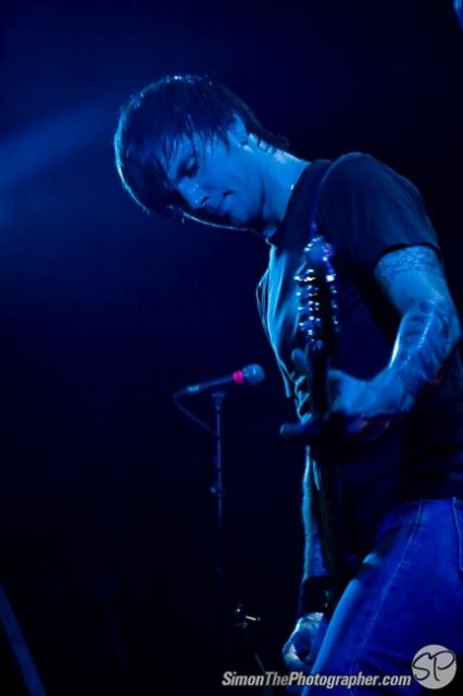Evergreen Terrace live