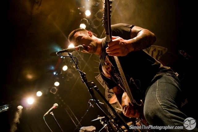 Evergreen Terrace live