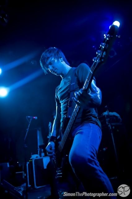 Evergreen Terrace live