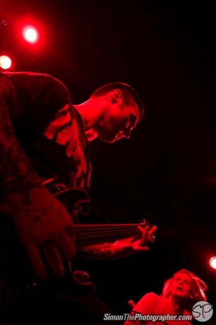 Evergreen Terrace live