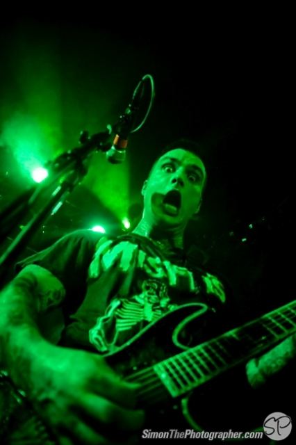 Evergreen Terrace live