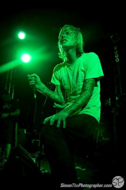 Evergreen Terrace live