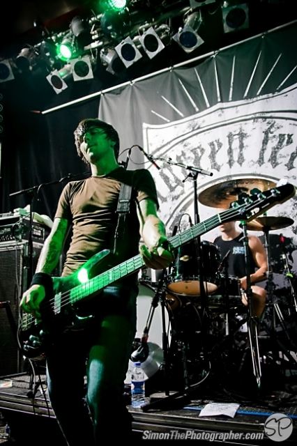 Evergreen Terrace live