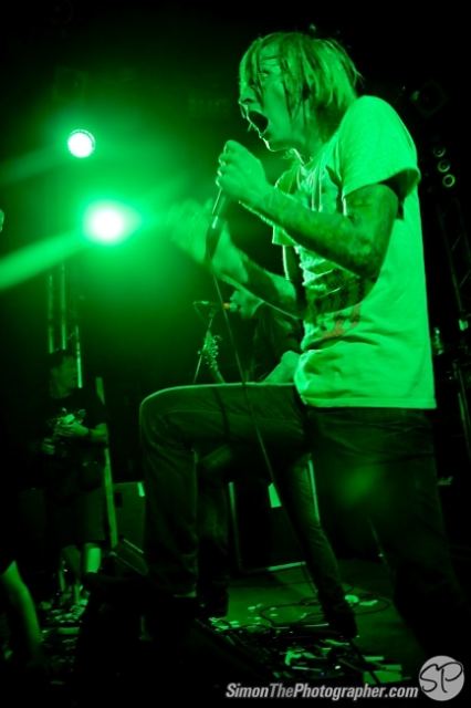Evergreen Terrace live