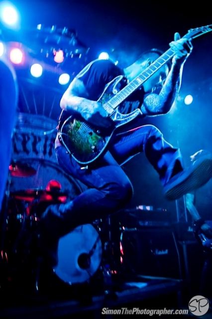 Evergreen Terrace live