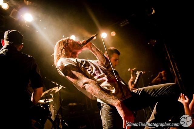 Evergreen Terrace live