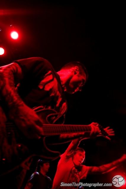 Evergreen Terrace live