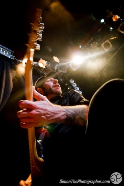 Evergreen Terrace live