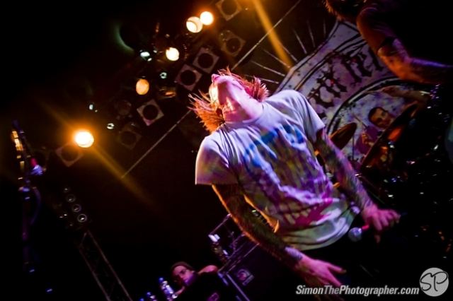 Evergreen Terrace live