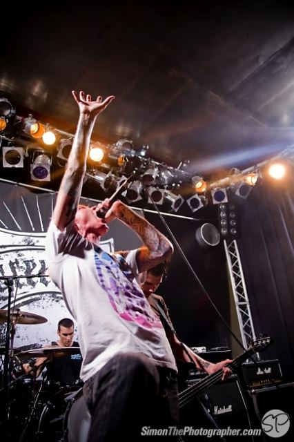 Evergreen Terrace live