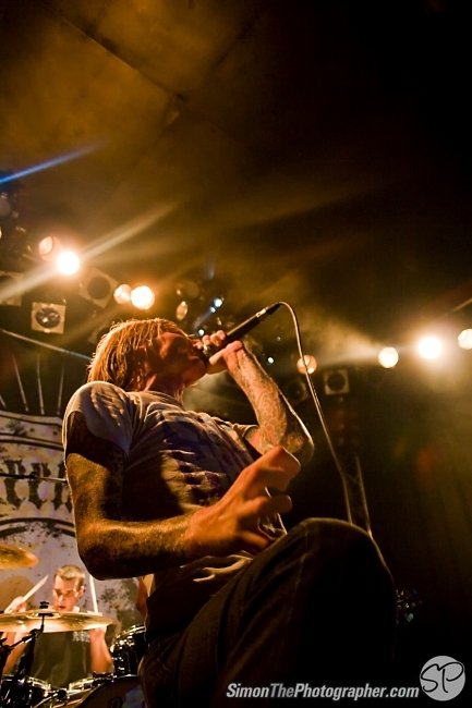 Evergreen Terrace