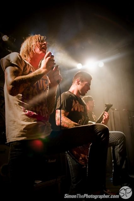 Evergreen Terrace live