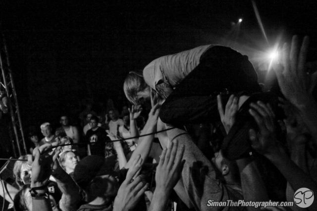 Evergreen Terrace live