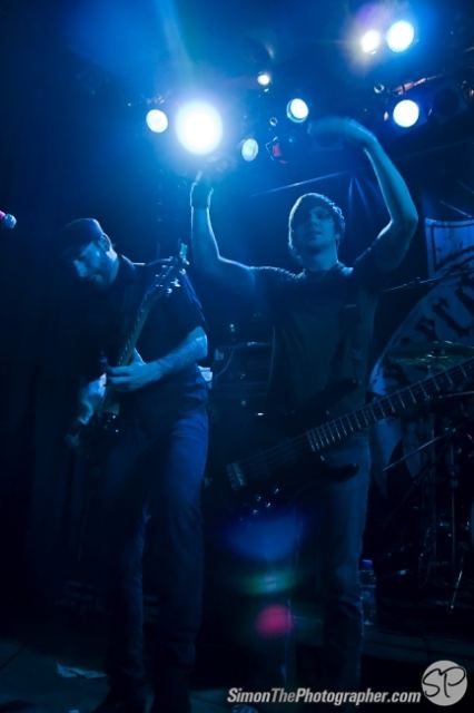 Evergreen Terrace live