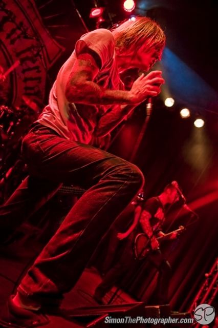 Evergreen Terrace live