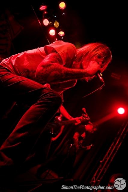 Evergreen Terrace live