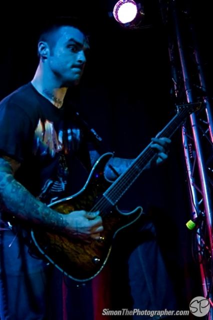 Evergreen Terrace live