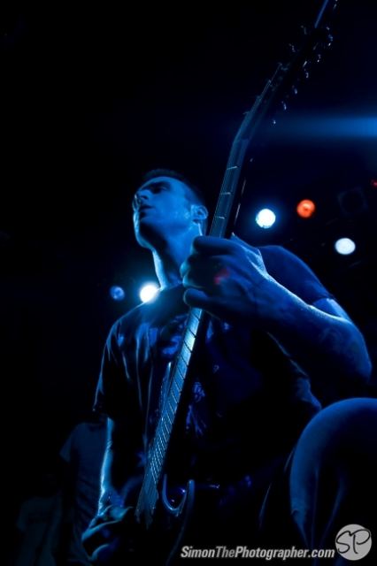 Evergreen Terrace live
