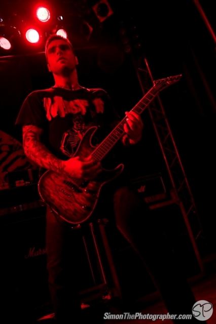 Evergreen Terrace live