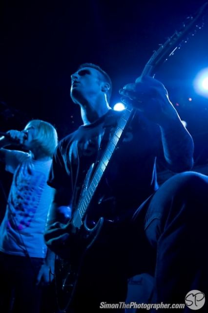 Evergreen Terrace live