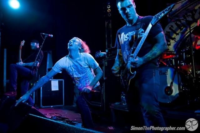 Evergreen Terrace live