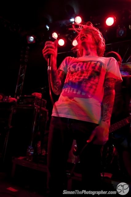 Evergreen Terrace live