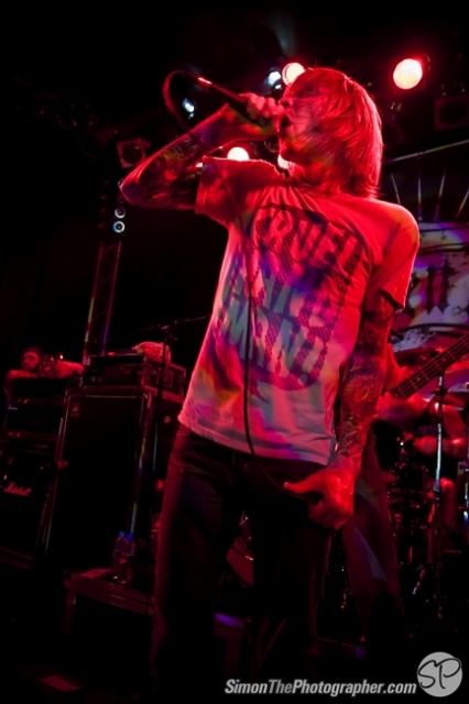 Evergreen Terrace live