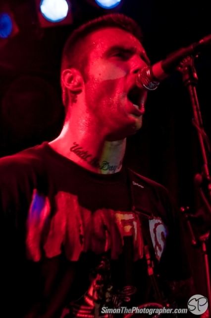 Evergreen Terrace live