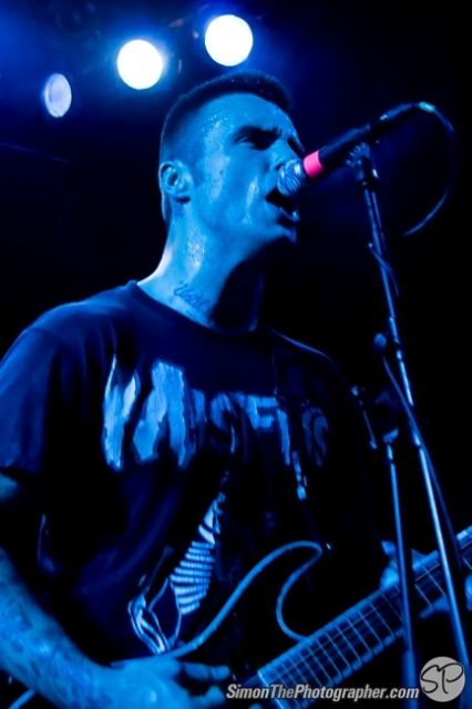 Evergreen Terrace live