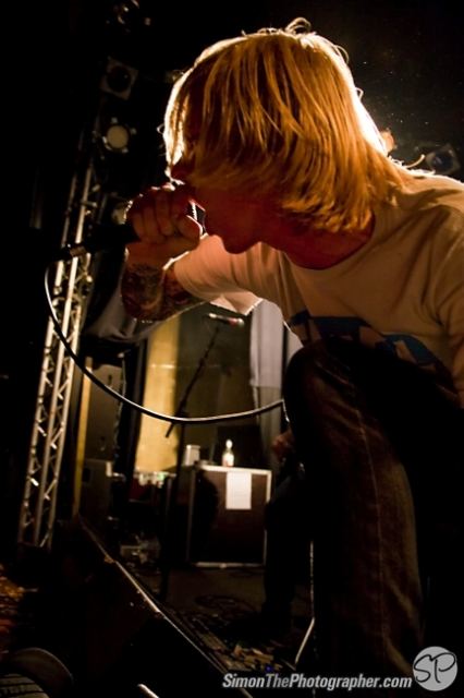 Evergreen Terrace live