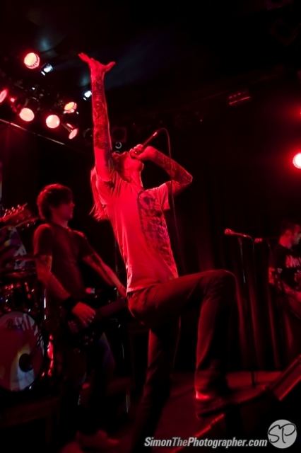 Evergreen Terrace live