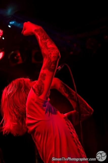 Evergreen Terrace live