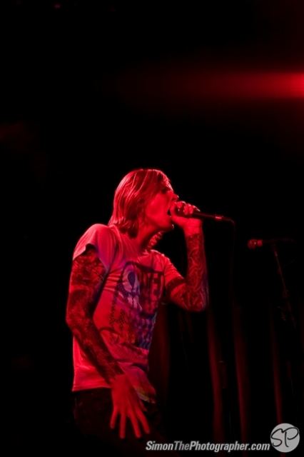 Evergreen Terrace live