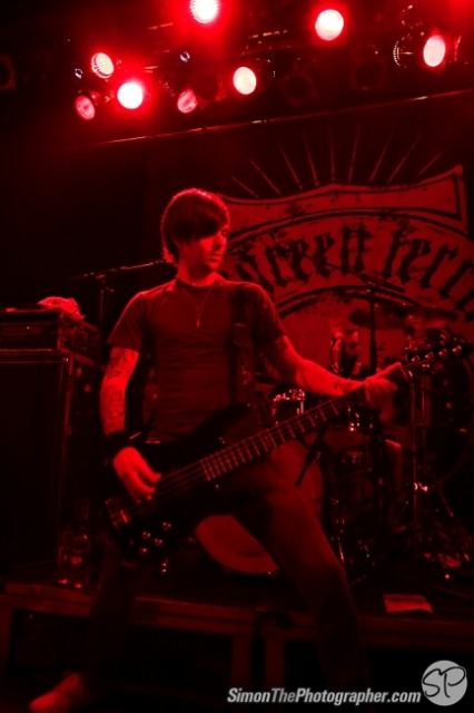 Evergreen Terrace live