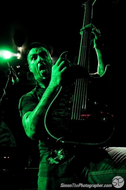 Evergreen Terrace live