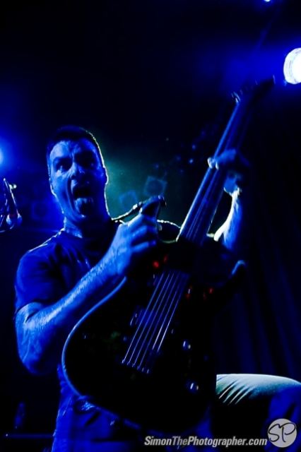 Evergreen Terrace live