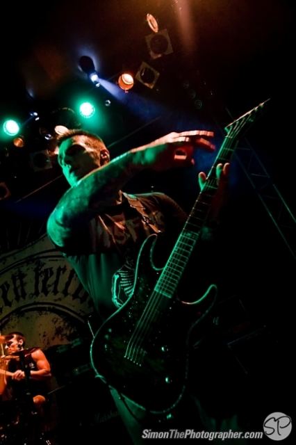 Evergreen Terrace live