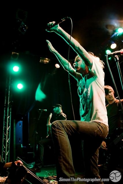 Evergreen Terrace live