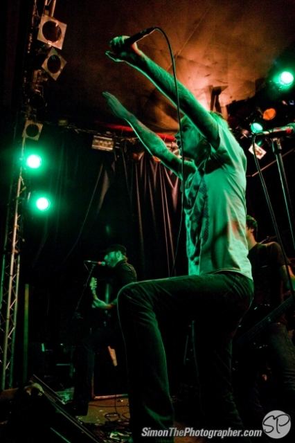 Evergreen Terrace live