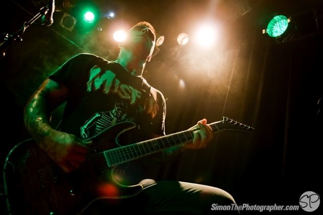 Evergreen Terrace live