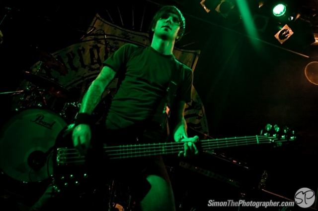 Evergreen Terrace live