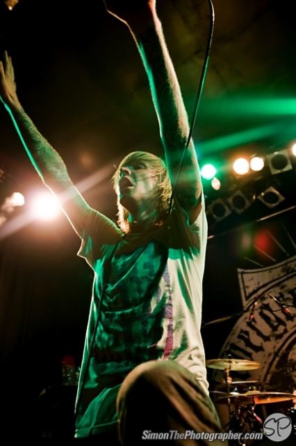 Evergreen Terrace live
