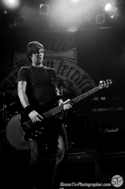 Evergreen Terrace live