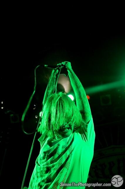 Evergreen Terrace live