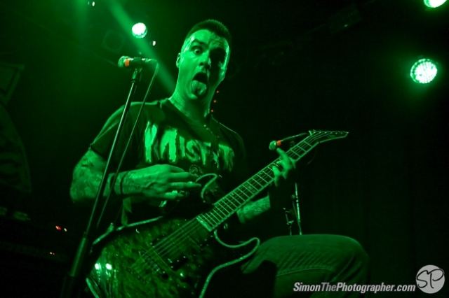 Evergreen Terrace live