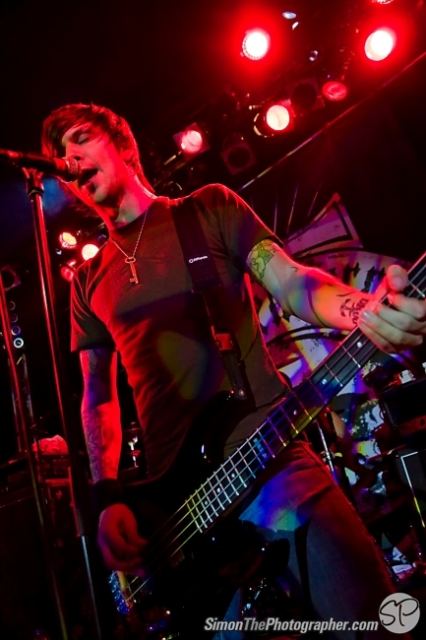 Evergreen Terrace live
