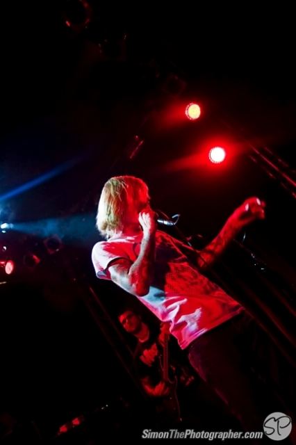 Evergreen Terrace live